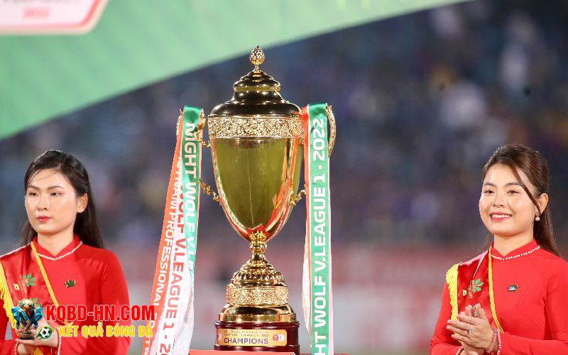 Những đội bóng Việt Nam đang cố nỗ lực để đưa bóng đá nước nhà vươn tầm quốc tế