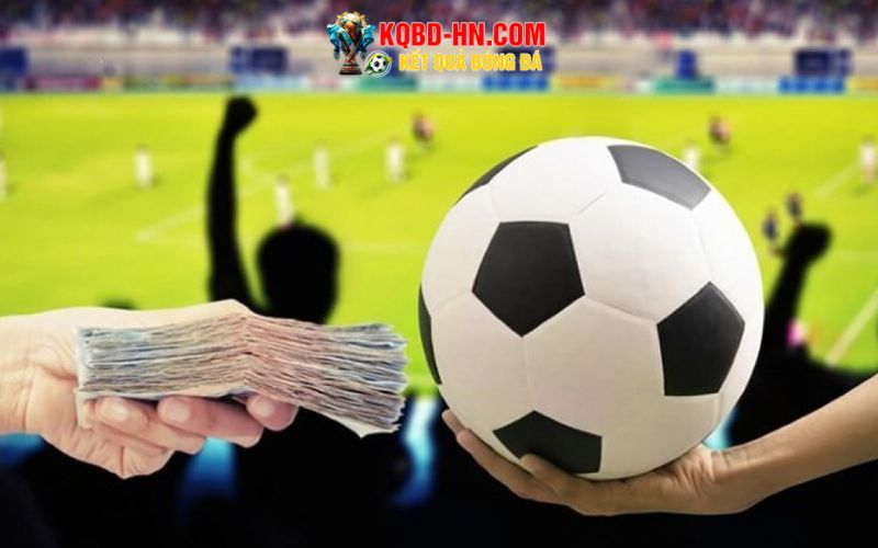 Không thể bỏ lỡ trang cá độ số 1 Dafabet