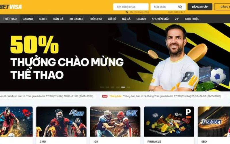 Sơ lược tổng quan về nền tảng cá cược trực tuyến Betvisa